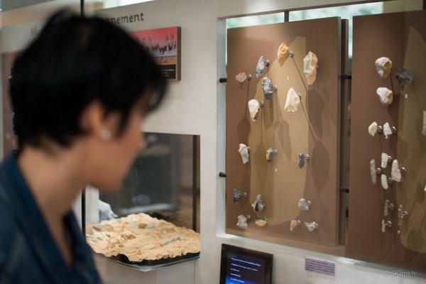 Une découverte qui bouleverse les conceptions